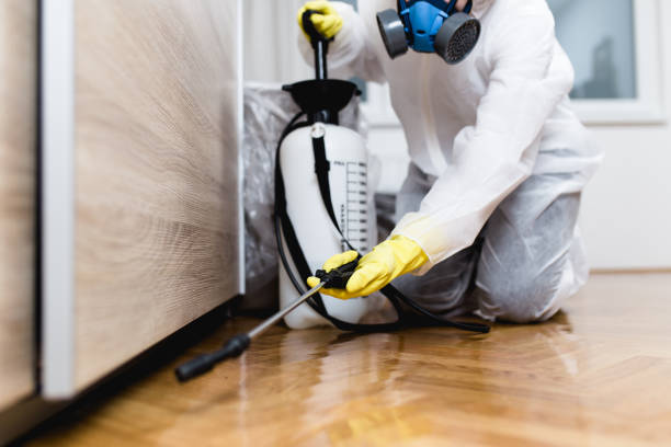 Best Residential Pest Control  in Georgetown, CT