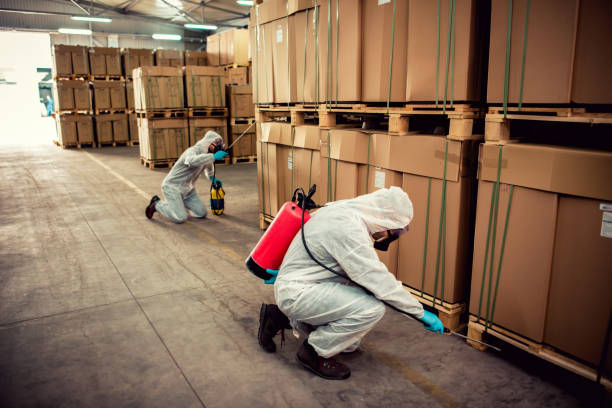 Best Termite Control Services  in Georgetown, CT