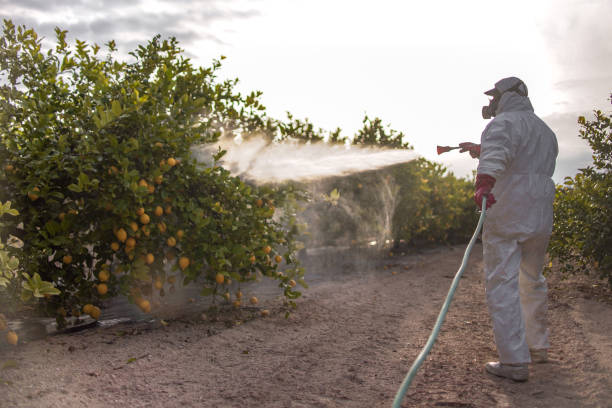 Best Mosquito Control Services  in Georgetown, CT