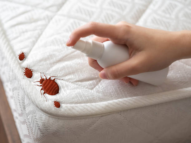 Best Best Pest Control Companies  in Georgetown, CT